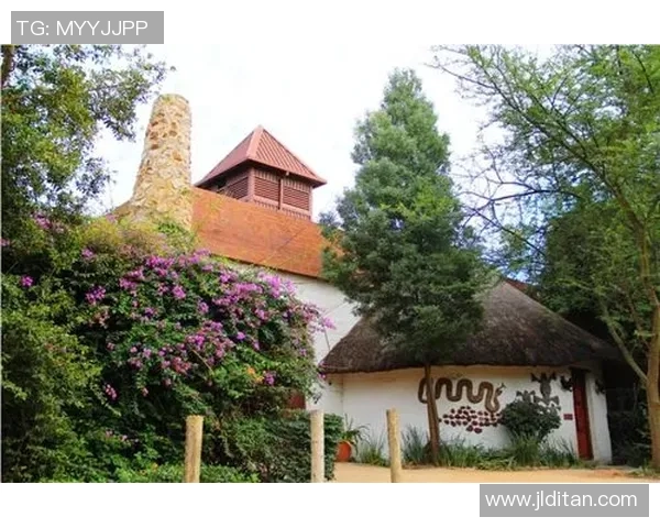 法兰西的黄昏与彩虹之国的狂欢：重温2010世界杯法南之战的荒诞与壮烈